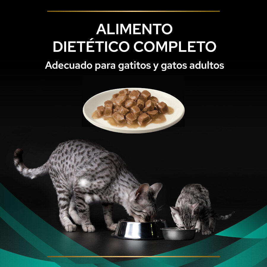 10 sobres x 85 g Pro Plan Veterinary Diets Feline En Gastrointestinal Salm&oacute;n en Salsa sobre para gatos, , large indicador imagen numero 4